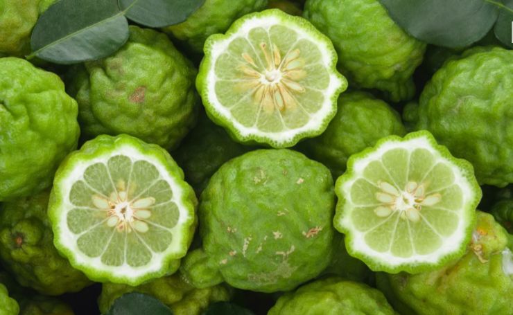 Il bergamotto calabrese è l'agrume più costoso al mondo