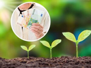 sfondo piantine che crescono e tondo con anziano con banconote euro in mano