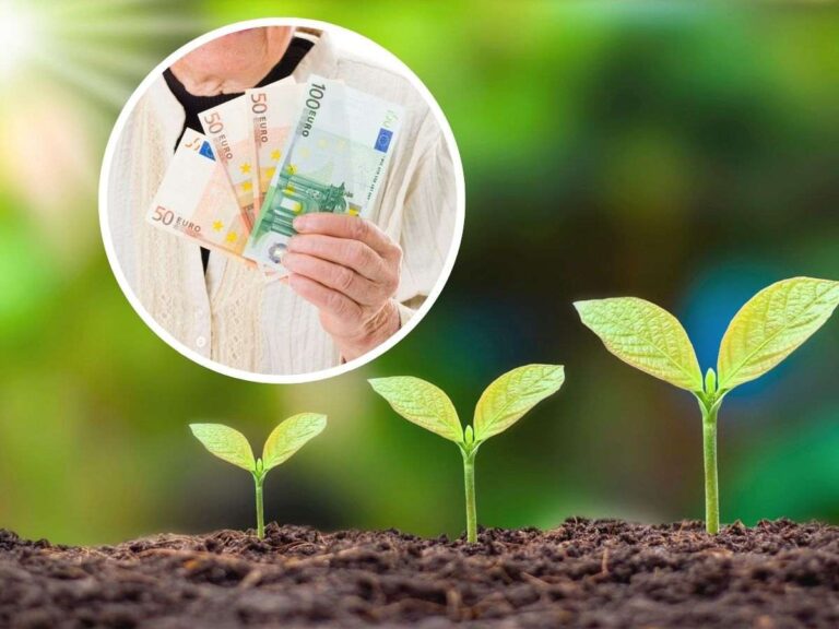 Puoi anche raddoppiare l’assegno mensile della tua pensione: ecco cos’è quella supplementare