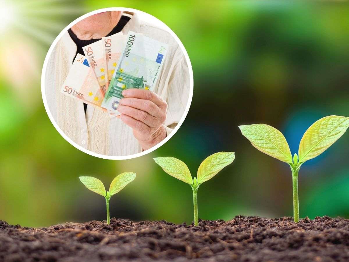 sfondo piantine che crescono e tondo con anziano con banconote euro in mano