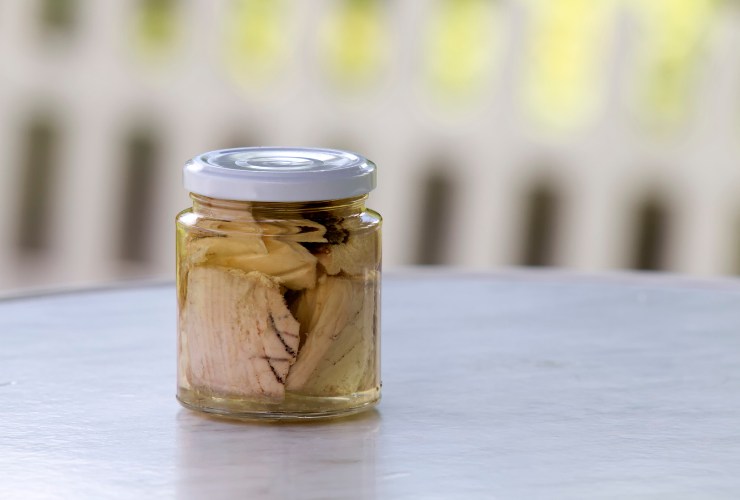 tonno sott'olio